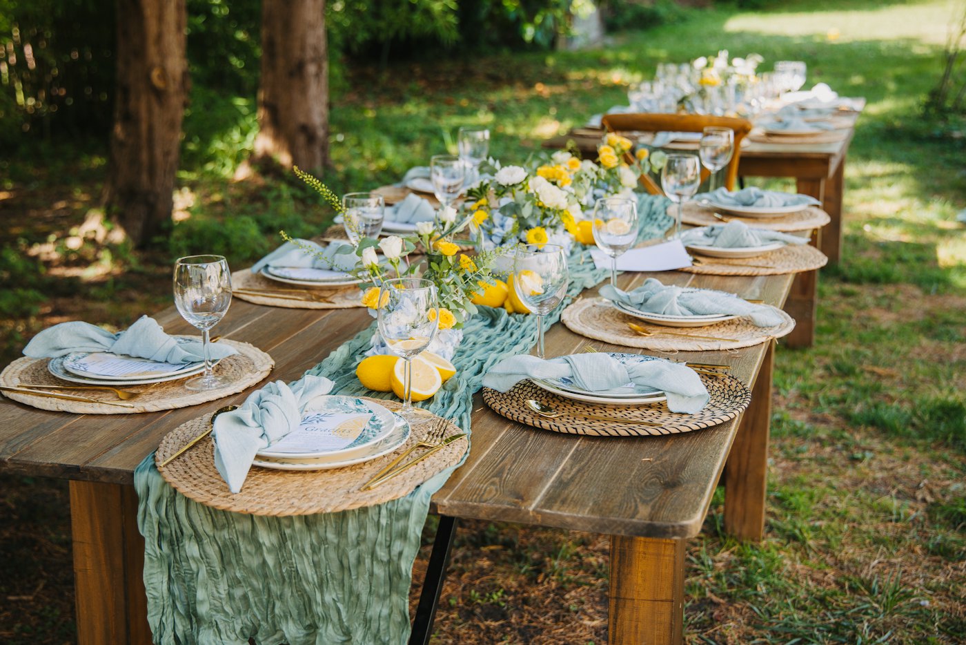Outdoor farm table with gauze runner and place settings